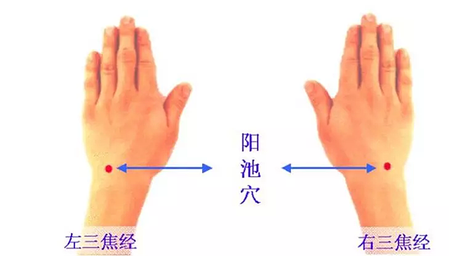 玄易针灸十二图(图11)