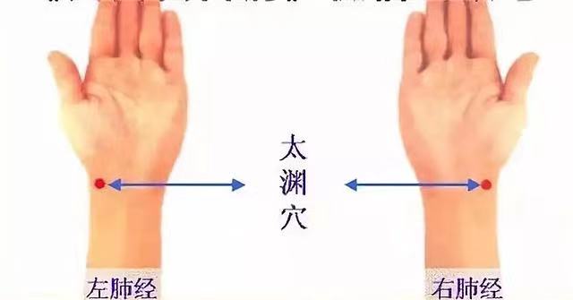 玄易针灸十二图(图2)