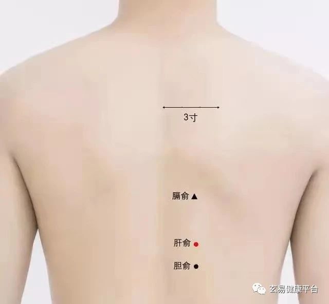 男人肝堵，变弱；女人肝堵，变丑！春天疏肝好时机，好好把握变强变美！(图10)