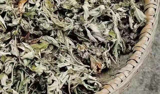 艾叶、艾条、艾灰都是宝,但很多人用错,非常全用的艾清单来咯 艾友圈 昨天  “艾”的这一生,从艾叶到艾条再到艾灰,全都是宝,但都有哪些好处、哪些隐藏用法呢?这篇文章,值得推荐给身边爱(图4) 艾叶、艾条、艾灰都是宝,但很多人用错,非常全用的艾清单来咯 艾友圈 昨天  “艾”的这一生,从艾叶到艾条再到艾灰,全都是宝,但都有哪些好处、哪些隐藏用法呢?这篇文章,值得推荐给身边爱(图4)