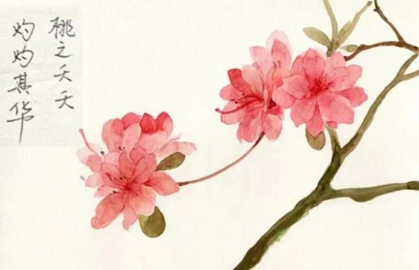 八字论桃花,是“神”还是“煞”(图1) 2-230513210FDT.jpg